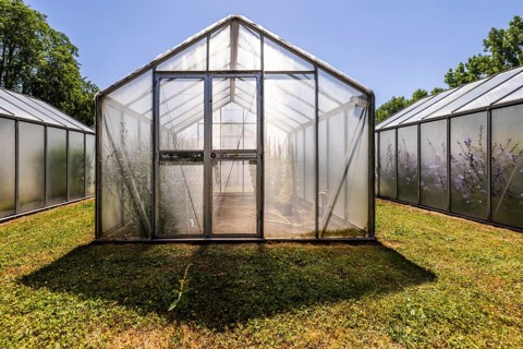 Mini greenhouses at the Leibniz Institute of Plant Genetics and Crop Plant Research IPK