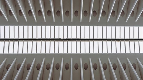 Oculus building, World Trade Center Transportation Hub, New York, USA