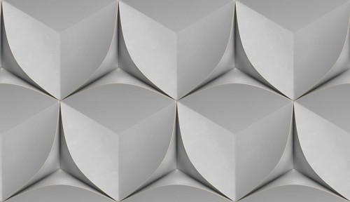 A modern 3D geometric design featuring symmetrical gray cubic and petal-like shapes, creating depth