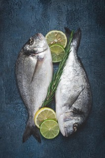 Fresh, raw dorado fish, on a dark blue background, top view, two pieces, no people