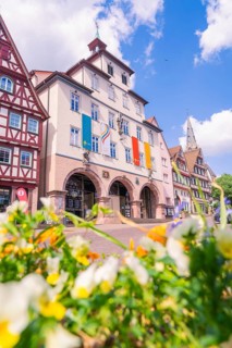 Historic buildings with colourful flags and blooming flowers in the foreground under a clear summer