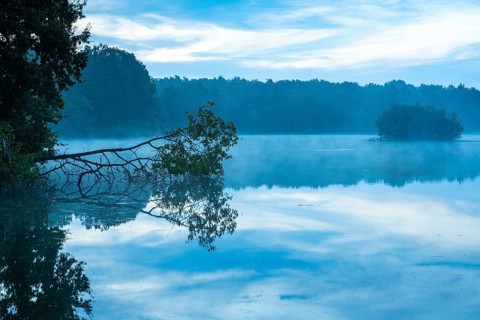 Daybreak with fog at blue hour in the Ahlhorner Fischteiche nature reserve of the Lower Saxony