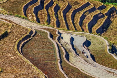 Celestial Stairs — The Yuanyang Rice Terraces in Yunnan, China, carved by the Hani people over 1,