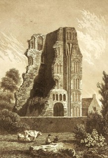 Abbey ruins of St. Augustine's Abbey, Benedictine monastery, abbey, village idyll, cattle grazing,