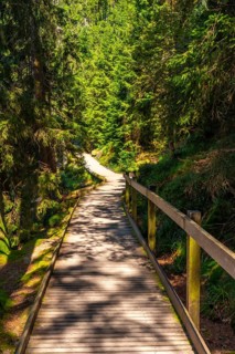 Beautiful wooden walking path at Mummelsee, Black Forest, Germany