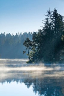 Pines and spruces line the shore of the mirror-smooth Étang de la Gruère moorland lake covered in