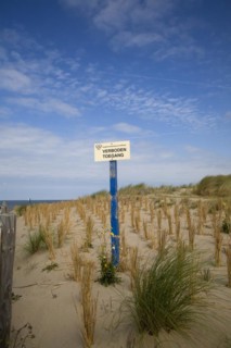 Sand dunes south of Scheveningen Holland