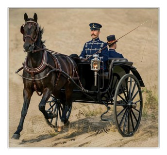 Kaiser Wilhelm II. in a carriage, history, uniform, KaiserKaiser Wilhelm II, monarchy, German