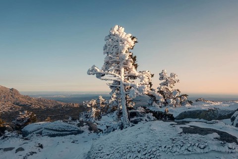 A breathtaking view of snow-laden trees atop the Siete Picos in Guadarrama Mountains, Madrid,