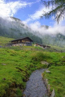 Lower Ulfaseralm and Nebelwald, moss in Passeier, South Tyrol, Italy