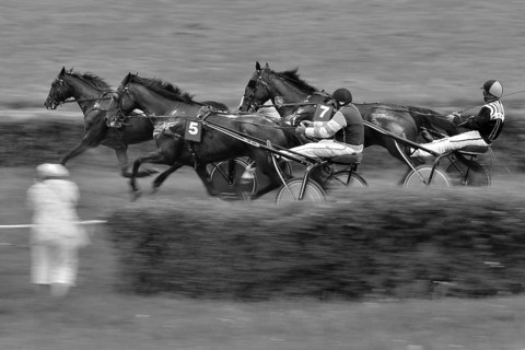 Race of French trotters on the Partynice racetrack in Wroclaw, Poand