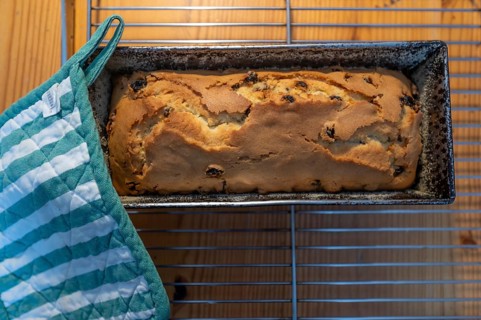 Potholders on a still hot baking dish with fresh English tea cake, Franconia, Bavaria, Germany