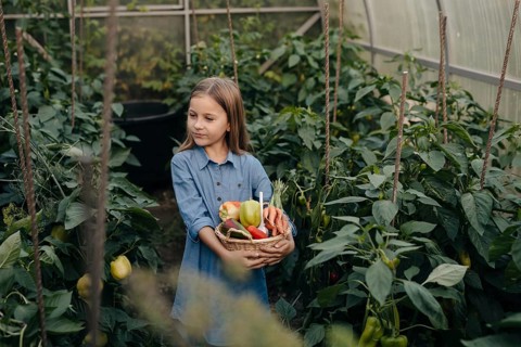 A young girl in a blue dress holds a basket of freshly picked vegetables in a lush greenhouse,