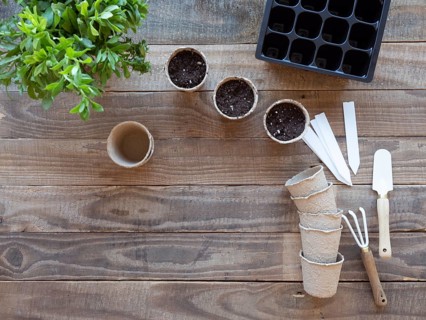 Gardening tools, soil, and plants on a wooden table, preparing for spring planting