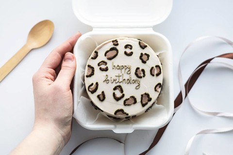 Top view of a cropped unrecognizable person's hand holding a small bento birthday cake, stylishly