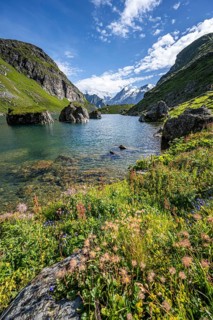 Mountain lake with view of glaciated mountain peaks, Lac du Louvie with summit Grand Combine,