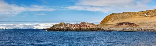 Rocky coast with a large colony of animals along the sea under a partly cloudy sky, The landscape