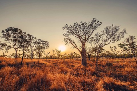 Outback Scenes Australia