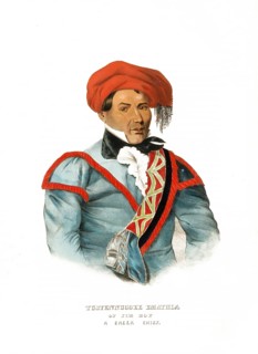 American Indian, Native American, Tustennuggee Emathla, Chief, United States of America, USA,