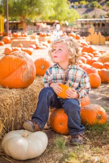 Little Boy Sitting and Holding His Pumpkin in a Rustic Ranch Setting at the Pumpkin Patch