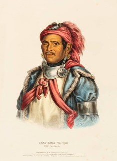 Tens-Kwau-Ta-Waw. The Prophet (ca. 1837-1844), Native American, Historical Native American tribes