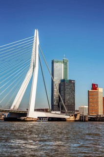 Erasmus Bridge, city panorama, Rotterdam, Netherlands