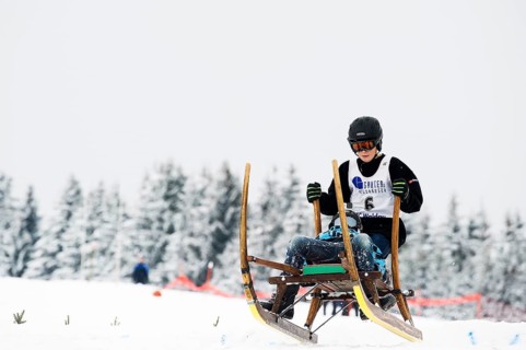 Horn sled racing, Waldau, Black Forest, Baden-Württemberg, Germany