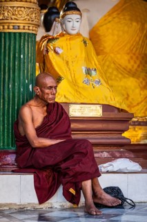 YANGON, MYANMAR, JANUARY 3, 2014: Ascetic Buddhist monk meditating in Shwedagon Paya pagoda