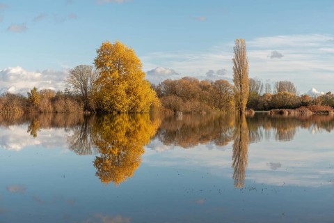 The river flows flat and reflects clouds and mountains under a clear sky. Autumn trees draw the