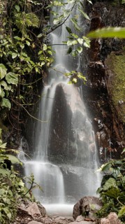 A breathtaking view of a tranquil waterfall cascading down a mossy cliff, enveloped by dense