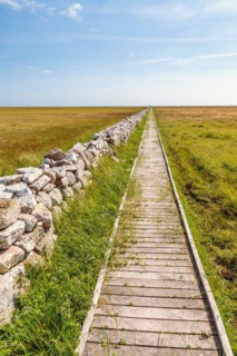 Long wooden footpath over a moor to the horizon by a stone wall
