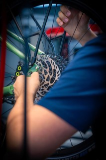 Person adjusts the spokes of a bicycle in a workshop, Waldbike Manufaktur, bicycle workshop, Calw,