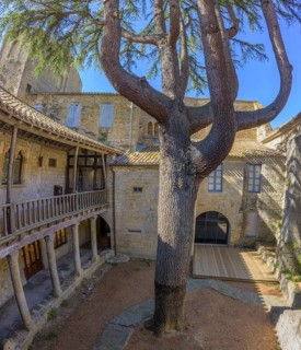 Courtyard with tree in the Sainte Marie Abbey in Lagrasse, Département Aude, France