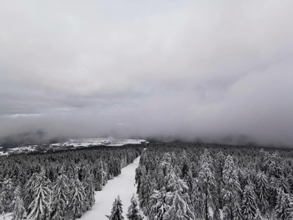 View from above of snow-covered forest landscape that disappears in a haze of fog, hiking in the