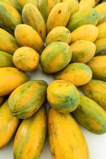 Ripe papayas (Carica papaya) in a circular arrangement with yellow-green skin. Costa Rica