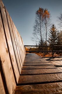 Wooden bench in the forest with autumnal ambience, Black Forest, Germany