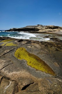 Sandstone coast, San Miguel de Tajao, Tenerife, Canary Islands, Spain