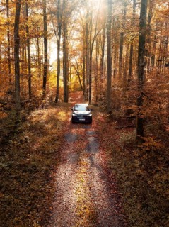 Vehicle on a forest path, surrounded by autumn trees and sunbeams, electric car, VW ID5, Gechingen,