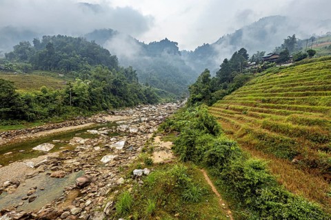 Landscape with river and rice terraces surrounded by misty mountains and green forests, river