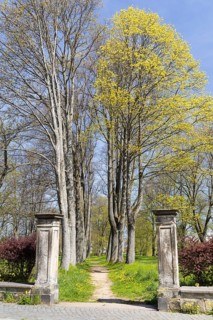 Old avenue in the old cemetery, Neugersdorf, Oberlausitzer Bergland, Saxony, Germany
