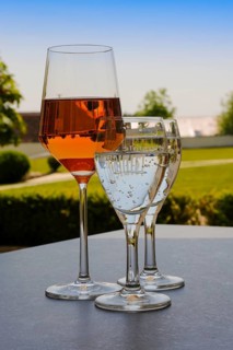 Froben Restaurant am Schloss, restaurant, gastronomy, drinking, wine glass, rose, wine, mineral