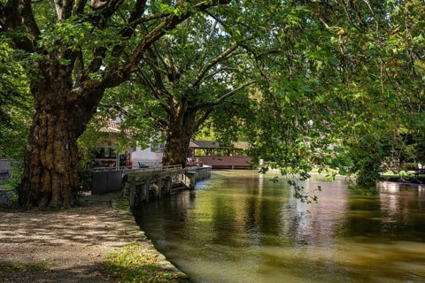 The Aachtopf, also known as the Aachquelle, a sight and tourist attraction in Hegau, is a karst