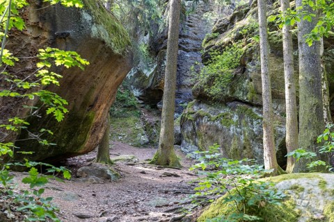 Rocky landscape at the Diebskeller or Götzinger Cave at the Kleiner Bärenstein, Thürmsdorf,