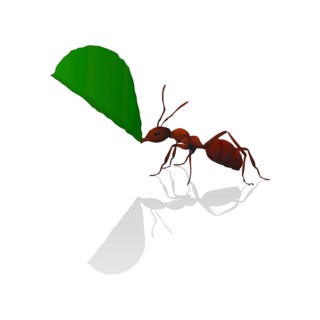 Brown ant holding a green leaf, isolated vector illustration