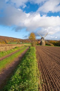 View of the Eisbergen windmill or Röckemann's mill, Porta Westfalica, Minden Lübbecke district,