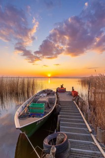Fishing boat, rowboat along reed bed at sunset near Warthe, Rankwitz at the Lieper Winkel on the