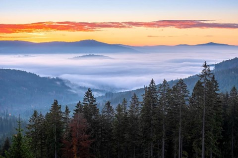 Dawn on the Großer Arber, view over endless forests with valley mist, Bavarian Forest, Lower