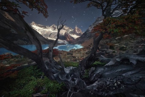 A mesmerizing night sky stretches over jagged mountains and a serene lake, framed by twisted trees.