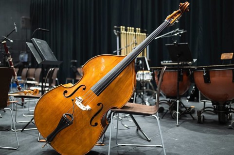 Double bass head and other orchestra instruments in the background in Lubin, Poland
