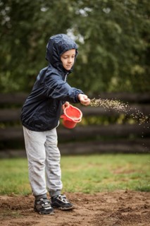Young boy sows grass seeds in the garden